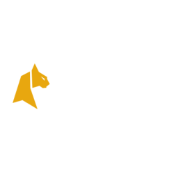 Felixspin Casino